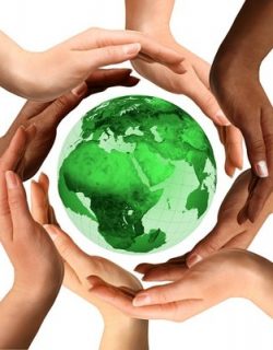 Global Environment